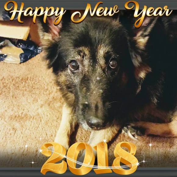 Meet your Posher, Dawn - Picture 1 of 1